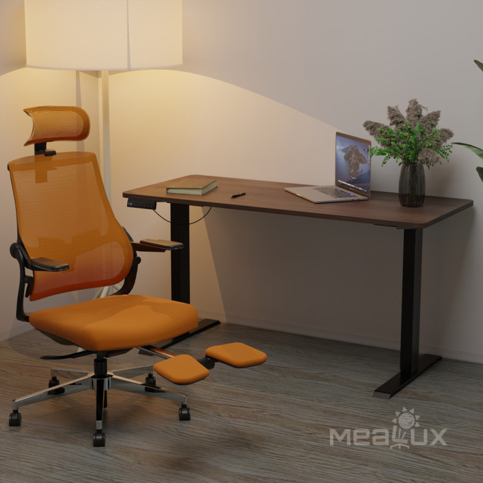 Стіл з електрорегулюванням висоти Mealux PowerDesk Duo