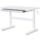 Дитячий стіл ErgoKids TH-210 Lite White  - стільниця біла / ніжки білі