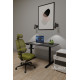 Комплект Mealux PowerDesk Lite Black + Leo Air Plus Green
