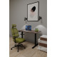 Комплект Mealux PowerDesk Lite Walnut + Leo Air Plus Green