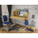 Комплект (L) Mealux Cтол Timberdesk Wood L +Тумба BD-920-2 BL + Крісло Onyx Duo DGB