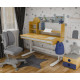 Комплект (L) Mealux Cтол Timberdesk Wood L +Тумба BD-920-2 BL + Крісло Onyx Duo G